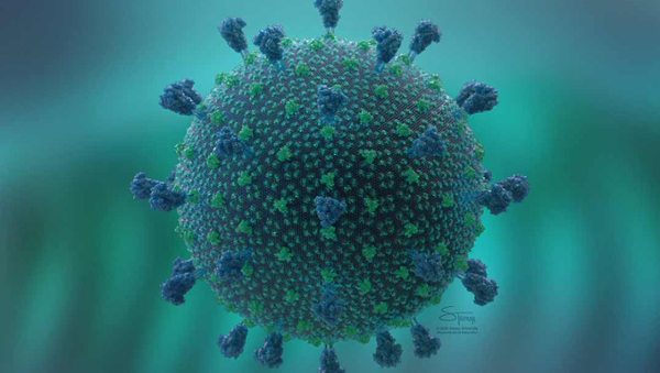 Rendering of the SARS-CoV-2 coronavirus